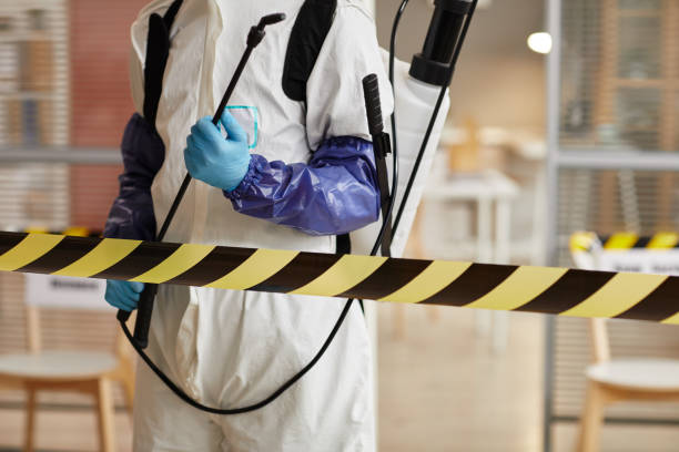 Professional Odor Removal technician working in Ringle, WI