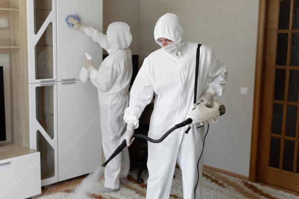 24/7 Emergency Odor Removal experts in Ringle, WI